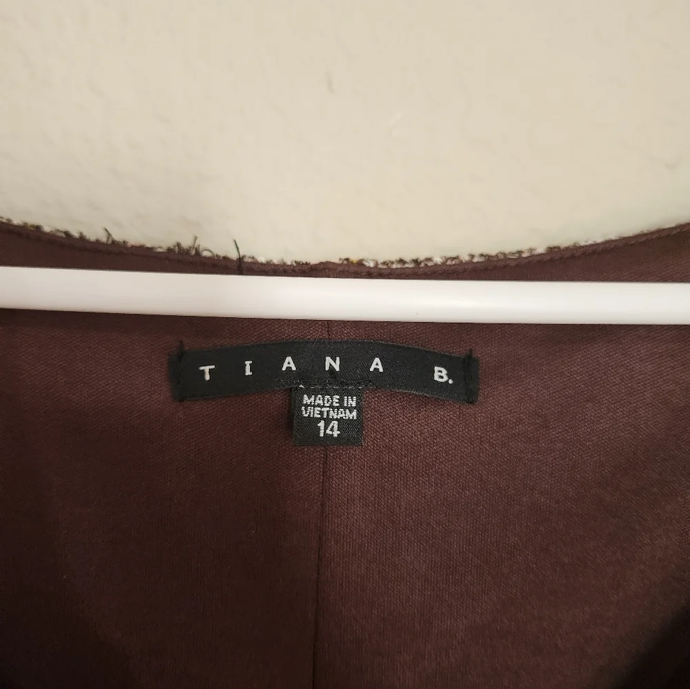 Brown Striped Dress Size 14 - Picture 3 of 4